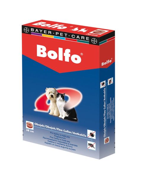 Bolfo 1,234 g obojek pro kočky a malé psy 38 cm 1 ks