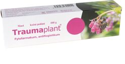 Traumaplant mast 100 g