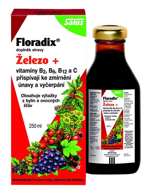 Salus Floradix Železo+ sirup 250 ml