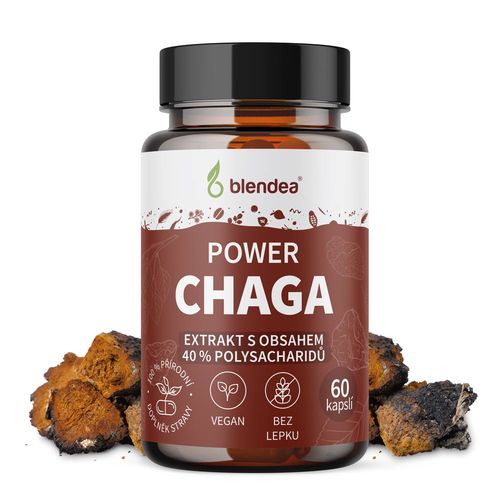 Chaga extrakt 60 kapslí