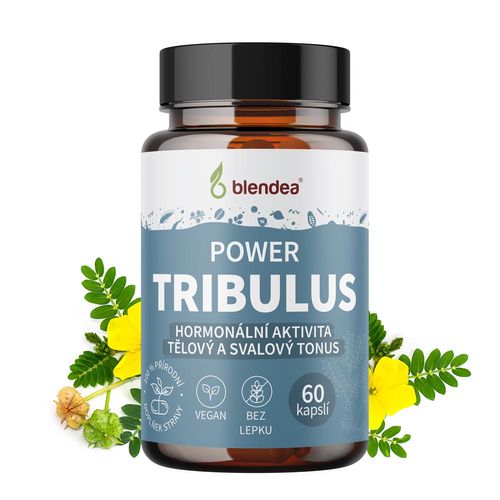 Tribulus Terrestris 60 kapslí