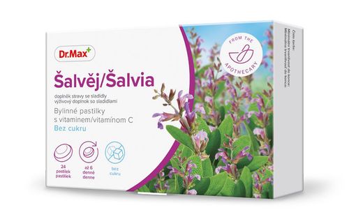 Dr.Max Šalvěj Bylinné pastilky s vitaminem C bez cukru 24 pastilek