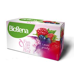 Biogena Fantastic Lesní plody porcovaný čaj 20x2,2 g