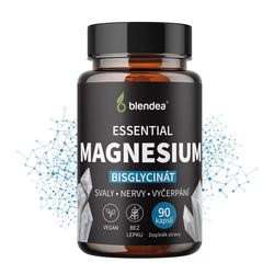 Magnesium 90 kapslí
