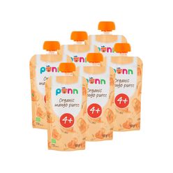 SALVEST Põnn BIO Mango 100% 6x100 g