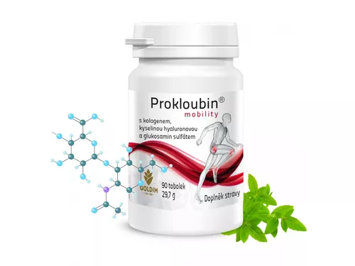 Prokloubin - INTENZIVNÍ KLOUBNÍ VÝŽIVA 90 tbl.