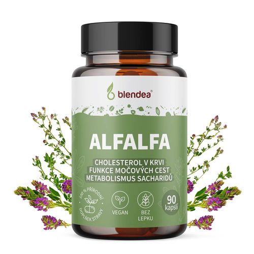 Alfalfa 90 kapslí