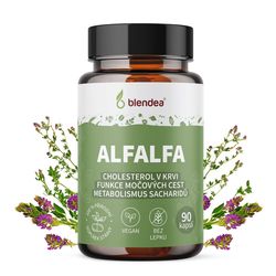 Alfalfa 90 kapslí