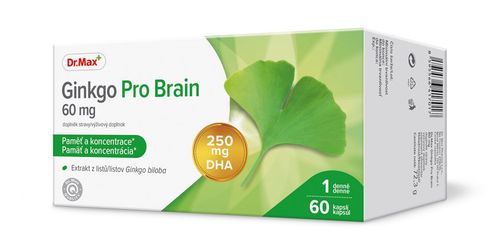 Dr.Max Ginkgo Pro Brain 60 kapslí