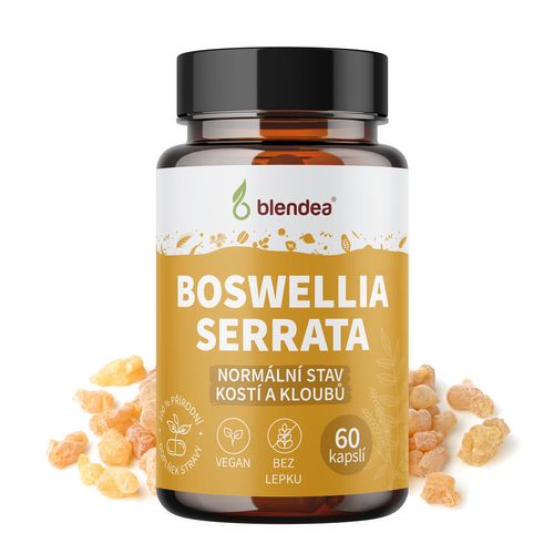 Boswellia serrata 60 kapslí