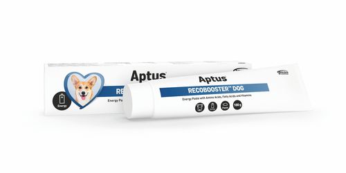 Aptus Recobooster Dog energetická pasta 100 g