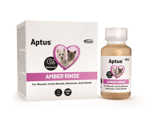 Aptus AMBER RINSE roztok k oplachu ran 4x60 ml