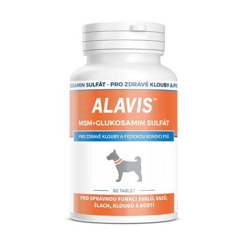 Alavis MSM + Glukosamin sulfát 60 tablet