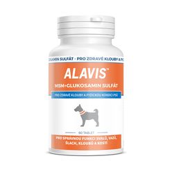 Alavis MSM + Glukosamin sulfát 60 tablet