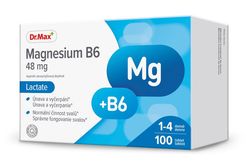 Dr.Max Magnesium B6 48 mg Lactate 100 tablet