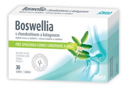 Favea Boswellia s chondroitinem a kolagenem 30 tablet