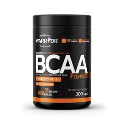 BCAA 2:1:1 Fermented - kapsle 300 caps