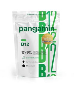 Pangamin B12 200 tablet