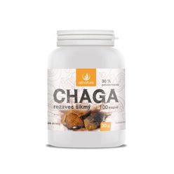 Allnature Chaga Rezavec šikmý 100 kapslí