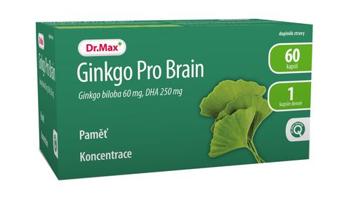 Dr.Max Ginkgo ProBrain 60 kapslí