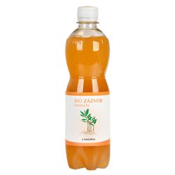 STEVIKOM - Kombucha zázvorová s meduňkou BIO, 500ml CZ-BIO-001 certifikát